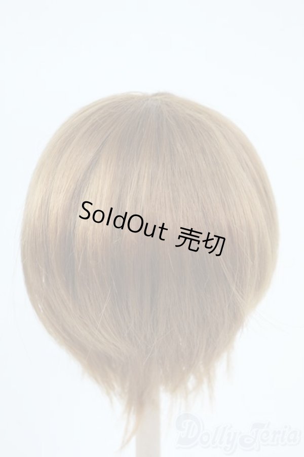 画像2: 8-9inch/ウィッグ Y-25-11-05-190-YD-ZY (2)