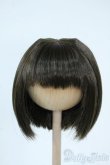 画像1: 8-9inch/ウィッグ Y-25-11-05-189-YD-ZY (1)