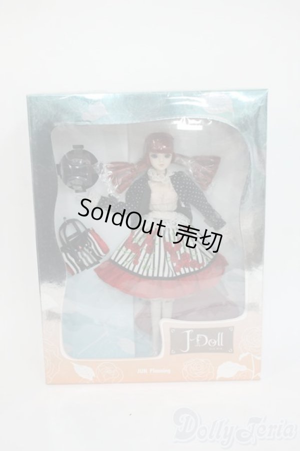 画像2: J-DOLL/de 9 straatjes(デ　ネイフン　ストラーヒェス) Y-26-01-28-003-YD-ZY (2)