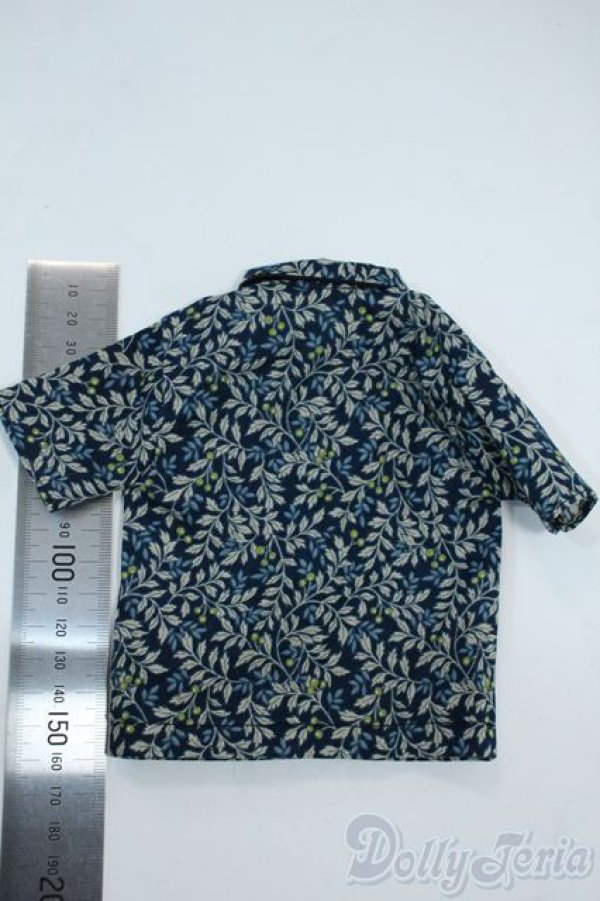 画像2: SDM＆MSD/OF:衣装セット Y-25-11-19-136-YD-ZY (2)