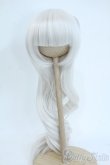 画像1: 9-10inch/ウィッグ Y-25-11-19-028-YD-ZY (1)