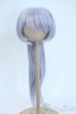 画像1: 9inch/ウィッグ Y-25-11-19-024-YD-ZY (1)