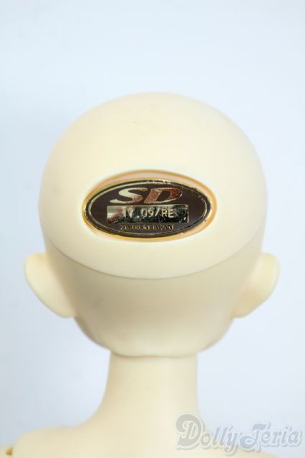 画像7: SDM/ダイ：スタンダードモデル Y-25-11-19-132-YD-ZY (7)