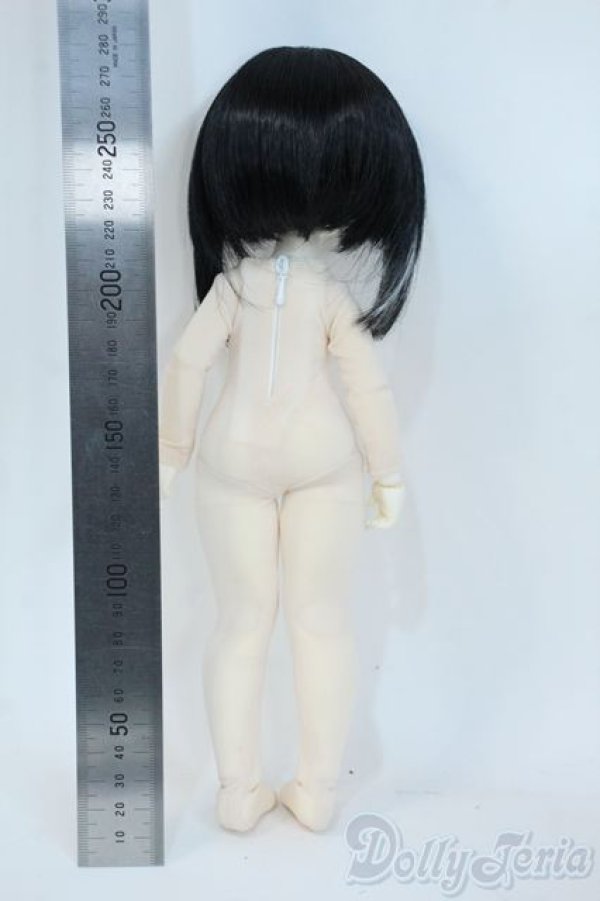 画像6: Tinyfox/輝き夢見るペンギン デビー1/6スケール Y-25-11-26-200-YD-ZY (6)