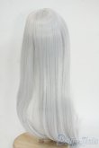 画像2: 8-9inch/ウィッグ Y-25-12-03-030-YD-ZY (2)