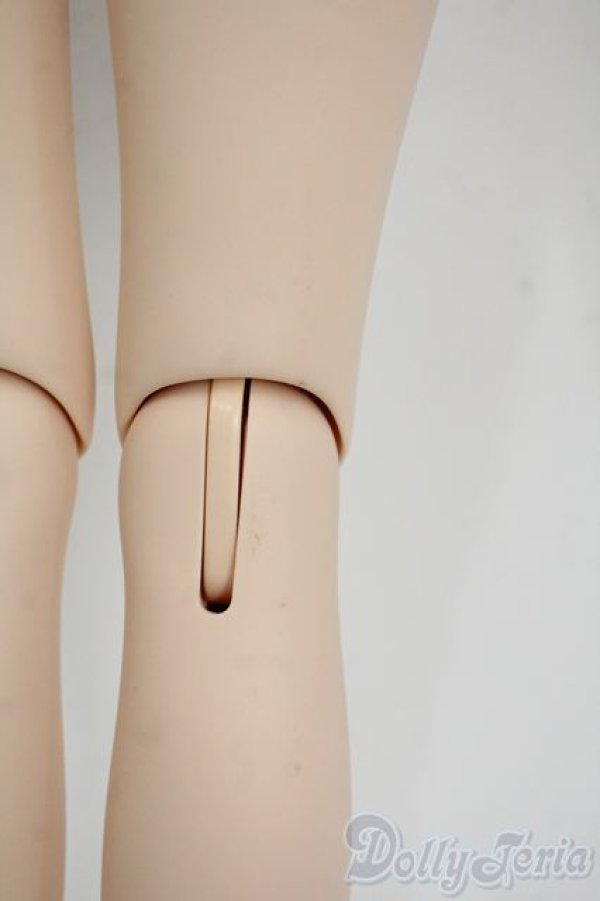 画像7: DD2.0/桜ミク2.0 Y-25-12-03-109-YD-ZY (7)