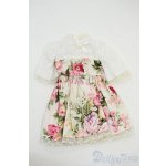 画像: SDM＆MSD/OF:ワンピース Y-25-12-03-121-YD-ZY