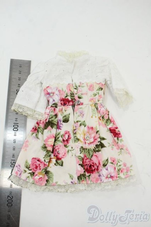 画像2: SDM＆MSD/OF:ワンピース Y-25-12-03-121-YD-ZY (2)