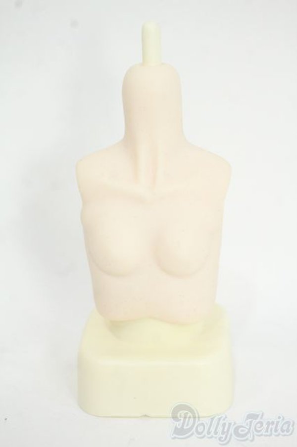 画像1: MDD/赤紫Edition　S胸 Y-25-12-10-001-YD-ZY (1)