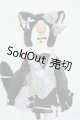 画像: MDD/OF:衣装セット Y-25-12-10-011-YD-ZY
