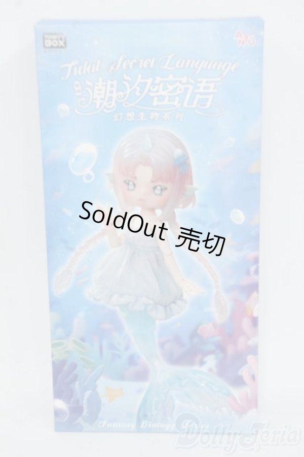 画像1: ANTU/潮の秘境 Y-25-12-10-114-YD-ZY (1)