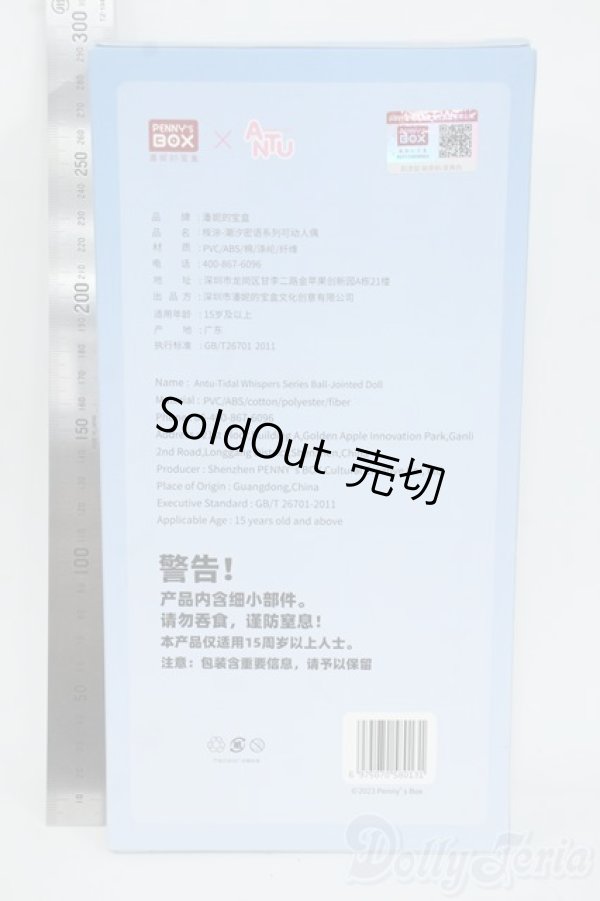 画像2: ANTU/潮の秘境 Y-25-12-10-114-YD-ZY (2)