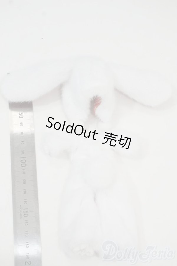 画像2: ルナに捧ぐ/OF:クラファン特典衣装 ウサギ着ぐるみ Y-25-12-10-158-YD-ZY (2)