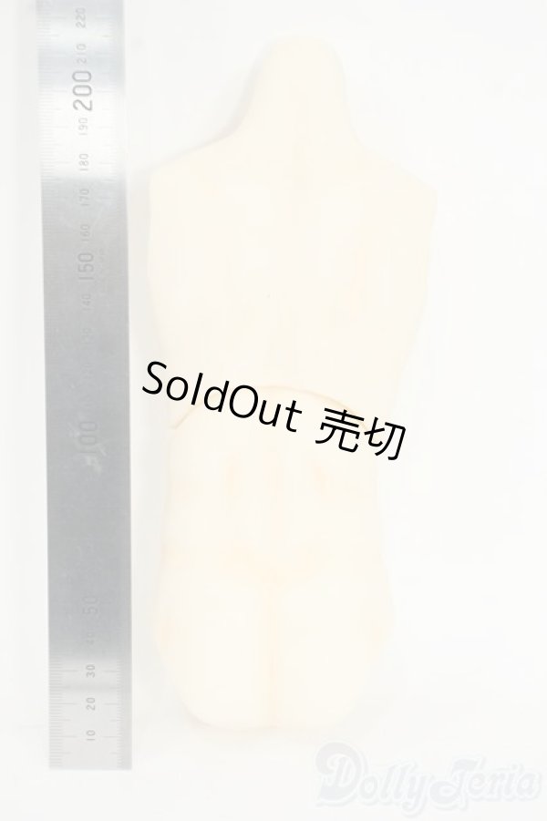 画像2: DDB/Fiorista!様製：筋肉ボディ上下set Y-25-12-17-135-YD-ZY (2)