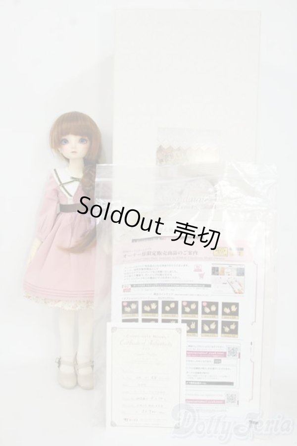 画像6: SDM/コーディネートモデルF-58 Y-25-12-17-001-YD-ZY (6)