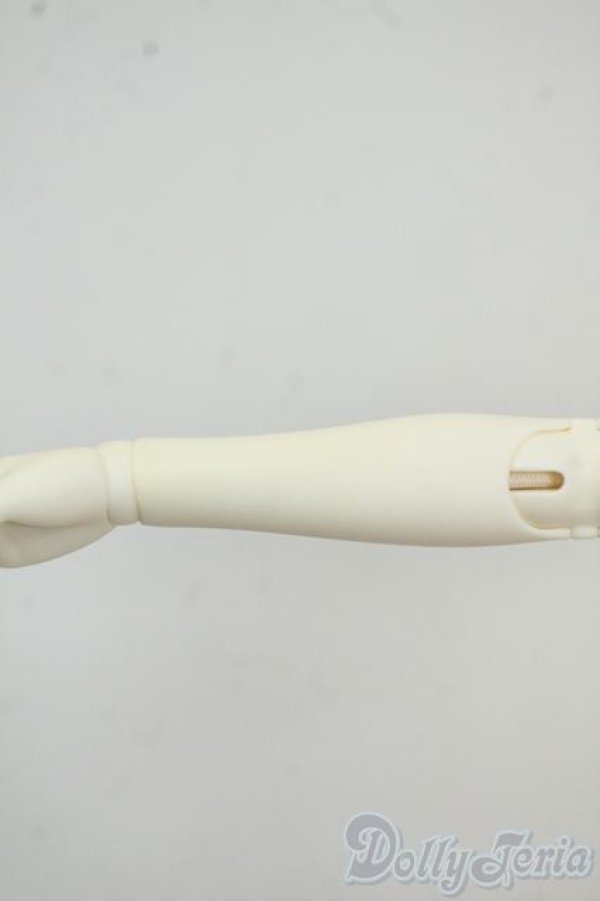 画像9: Myou Doll/1/4 Zuzana Princess Cinderella ver.Limited - Special R Y-25-12-17-003-YD-ZY (9)