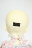 画像10: MYOU DOLL/Delia (1/6 Ver.) Y-25-12-17-005-YD-ZY (10)