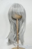 画像1: 8-9inch/ウィッグ Y-25-12-17-073-YD-ZY (1)