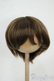 画像1: 8-9inch/ウィッグ Y-25-12-17-074-YD-ZY (1)