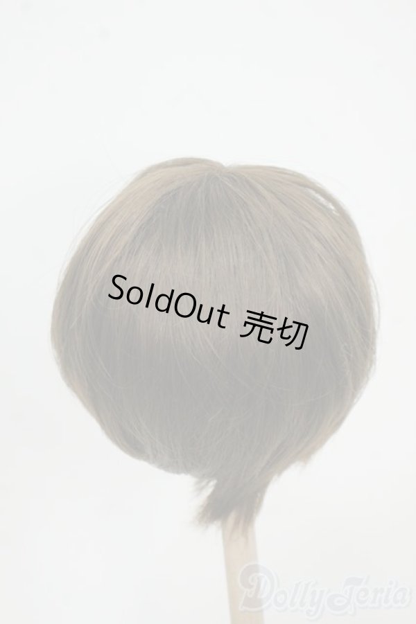 画像2: 8-9inch/ウィッグ Y-25-12-17-074-YD-ZY (2)