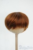 画像1: 8-9inch/ウィッグ Y-25-12-17-067-YD-ZY (1)