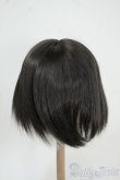 画像2: 8-8.5inchウィッグ Y-25-12-17-079-YD-ZY (2)