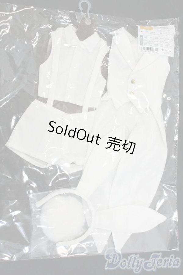 画像1: DDB/OF:ホワイトバニーセット　VOLKS Y-25-12-17-133-YD-ZY (1)