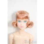 画像: momoko/ローズピクニック Y-25-12-17-038-YD-ZY