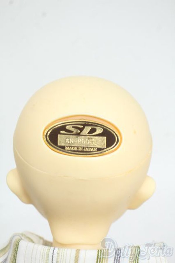 画像9: SDMBOY/F-31：コーディネートモデル Y-25-12-17-259-YD-ZY (9)