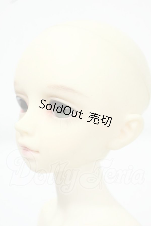 画像3: MSD/F-20ヘッド：フルチョイス Y-26-07-07-011-WT-ZY (3)