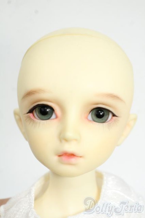 画像8: MSD/F-20ヘッド：フルチョイス Y-25-12-17-258-YD-ZY (8)