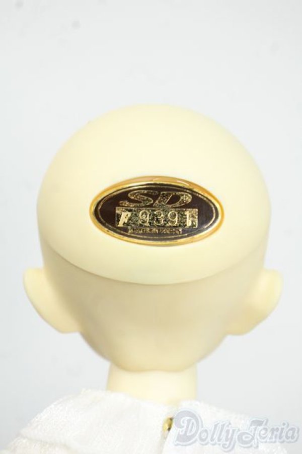 画像9: MSD/F-20ヘッド：フルチョイス Y-25-12-17-258-YD-ZY (9)