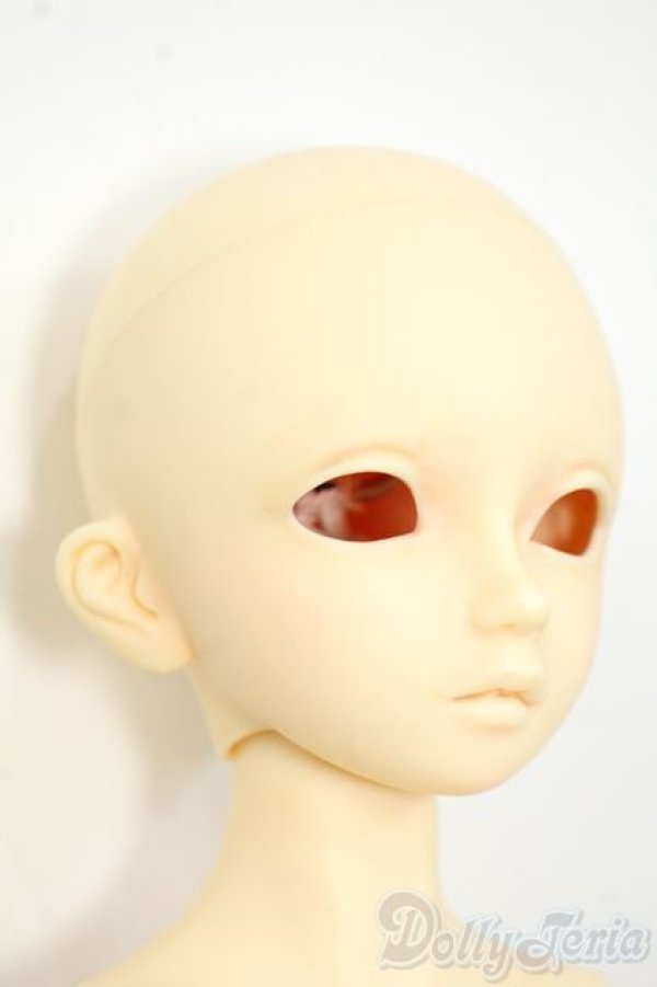 画像2: SDMBOY/フルチョイスF-38 Y-25-12-17-252-YD-ZY (2)