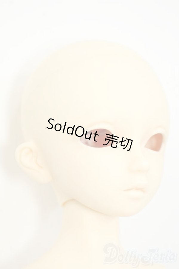 画像2: SDMBOY/フルチョイスF-38 Y-25-12-17-252-YD-ZY (2)