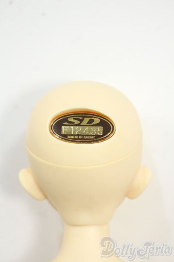 画像4: SDMBOY/フルチョイスF-38 Y-25-12-17-252-YD-ZY (4)