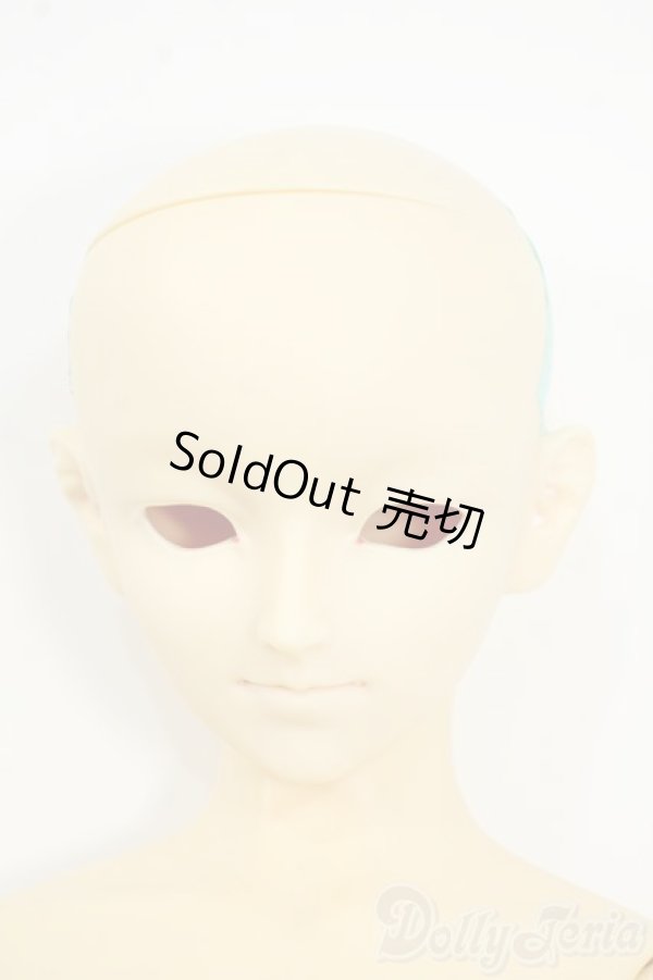 画像1: SD13BOY/フルチョイス:F-29 Y-25-12-17-261-YD-ZY (1)