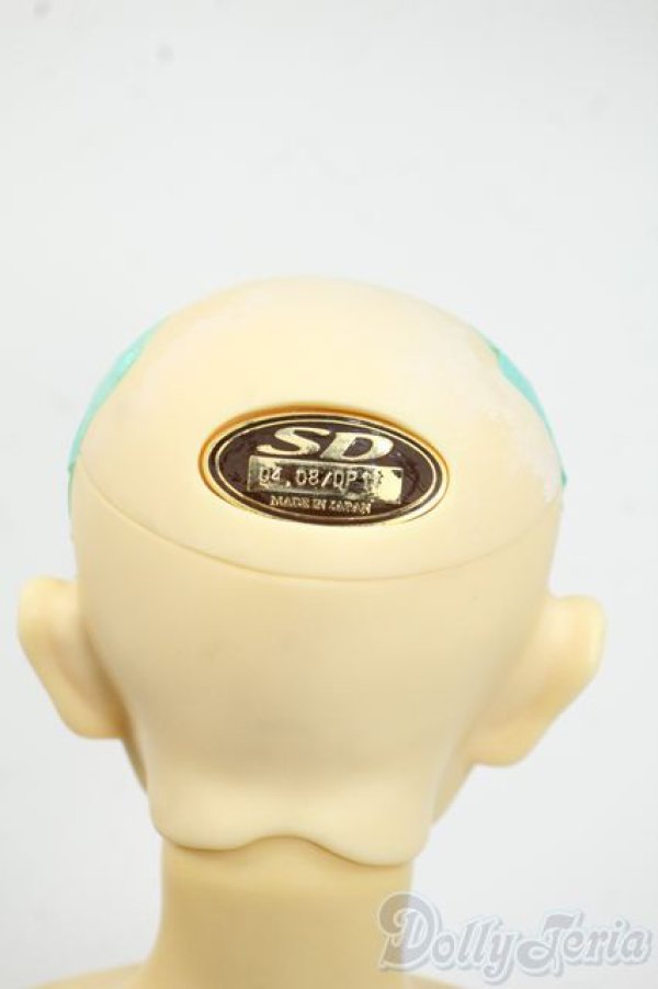 画像6: SD13BOY/フルチョイス:F-29 Y-25-12-17-261-YD-ZY (6)