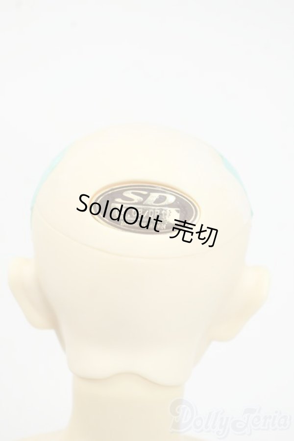 画像6: SD13BOY/フルチョイス:F-29 Y-25-12-17-261-YD-ZY (6)