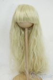 画像1: 9-10inch/ウィッグ Y-25-12-17-201-YD-ZY (1)