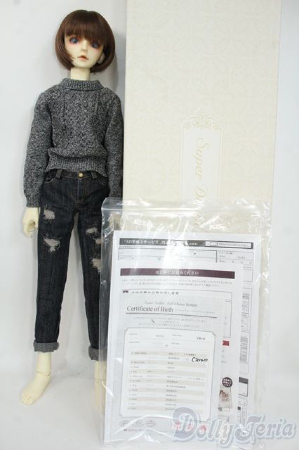 画像10: SDGrBOY/フルチョイス：F-34番ヘッド Y-25-12-17-256-YD-ZY (10)