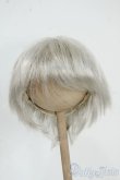 画像1: 9-10inch/ウィッグ Y-25-12-17-210-YD-ZY (1)