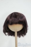 画像1: 8-9inch/ウィッグ Y-25-12-17-247-YD-ZY (1)