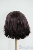 画像2: 8-9inch/ウィッグ Y-25-12-17-247-YD-ZY (2)