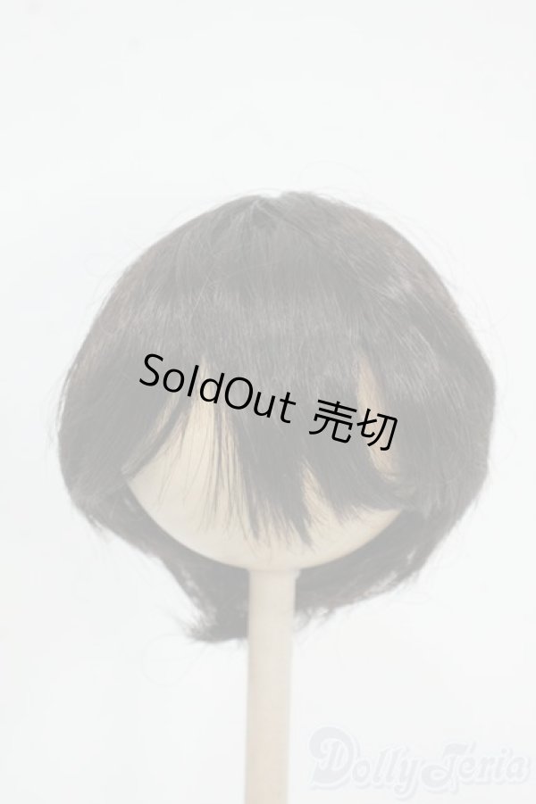 画像1: 8-9inch/ウィッグ Y-25-12-17-249-YD-ZY (1)