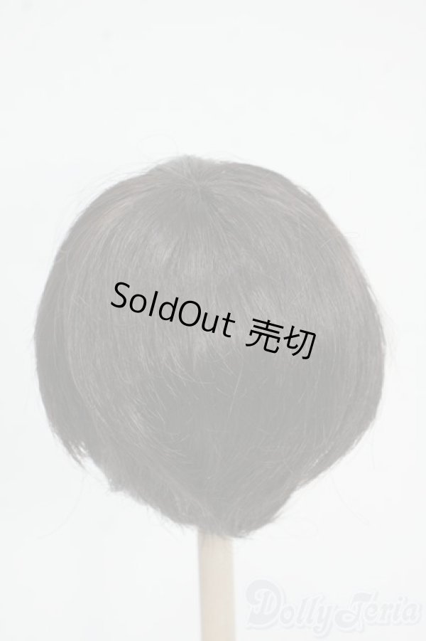 画像2: 8-9inch/ウィッグ Y-25-12-17-249-YD-ZY (2)