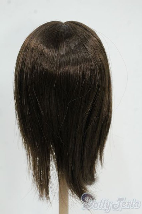 画像2: 8-9inch/ウィッグ Y-25-12-17-248-YD-ZY (2)