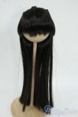 画像1: 8-9inch/ウィッグ Y-25-12-17-250-YD-ZY (1)