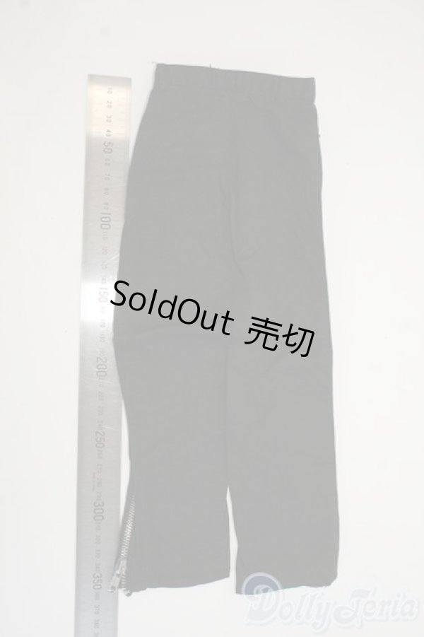 画像2: SD17B/OF:パンツ Y-25-12-24-104-YD-ZY (2)