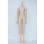 画像: DDB/ベースボディ Y-26-01-04-399-YB-ZY