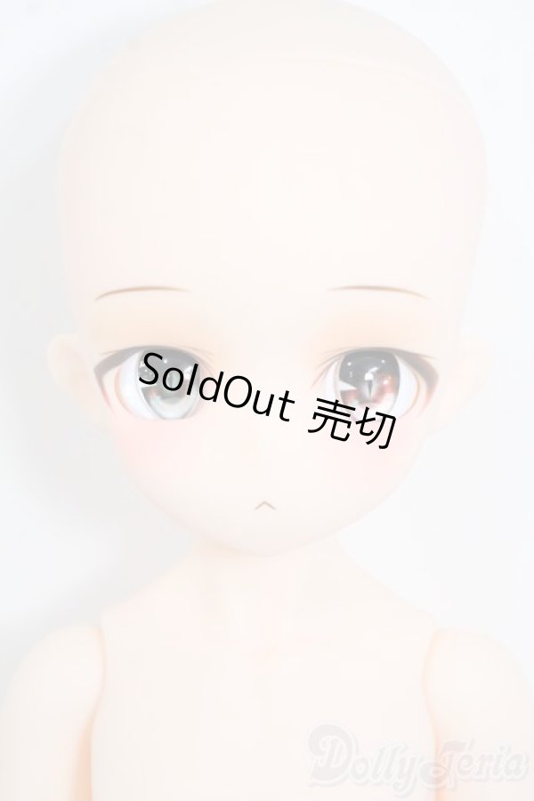 画像1: DOLLBOT/晴斗 Y-26-01-04-398-YB-ZY (1)